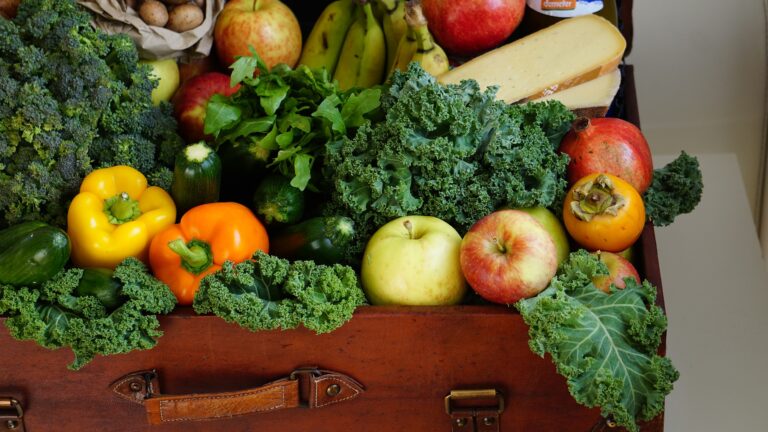 10 wertvolle Tipps für eine gesunde vegane Ernährung